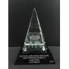 asdm-ford-world-excellence-award_1_2.jpg